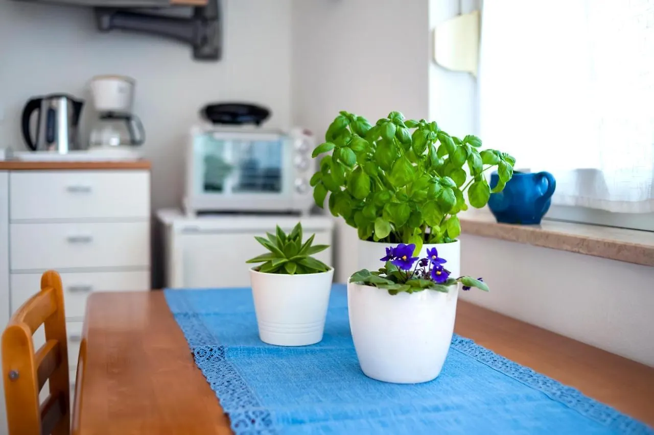 Apartment Casa Banko Rovinj Croatia